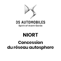 DS NIORT (logo)